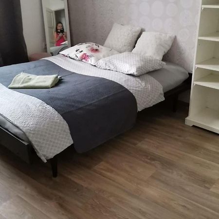 Stylovy Apartman V Centru Nachoda Buitenkant foto