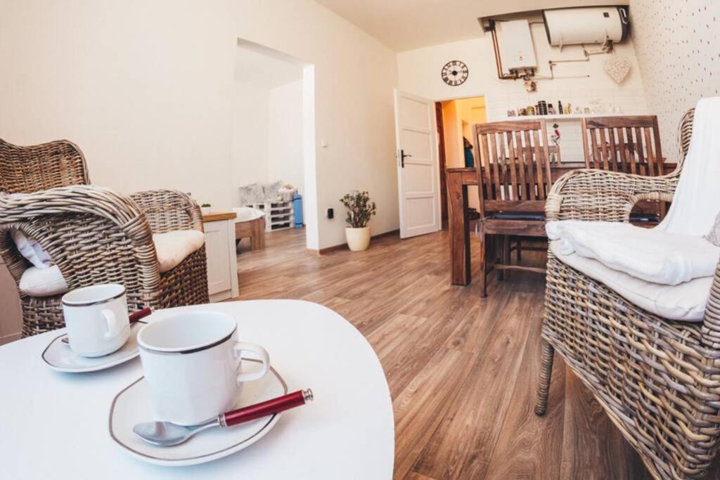 Stylovy Apartman V Centru Nachoda Buitenkant foto